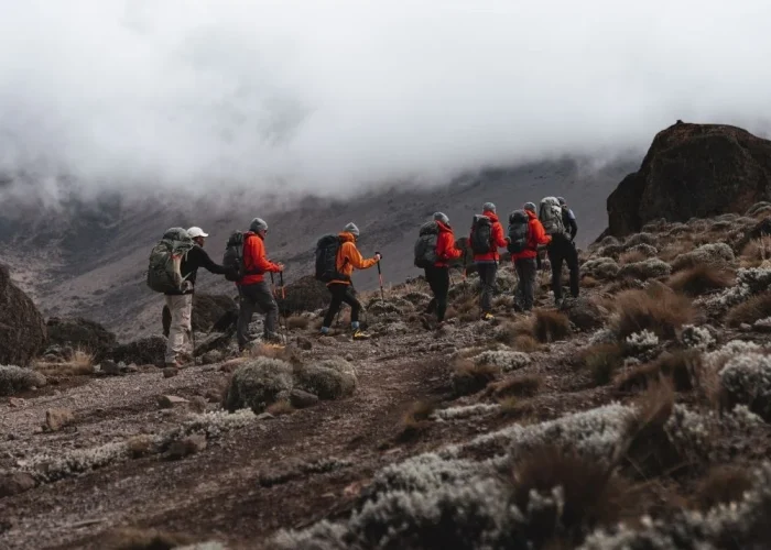 Machame Route Master4 Machame Route Master4