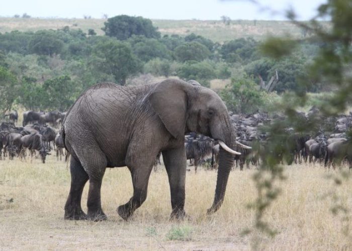 master big five 3 master big five 3